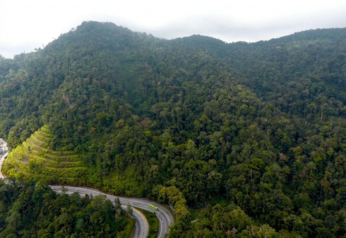 Aerial view of project site