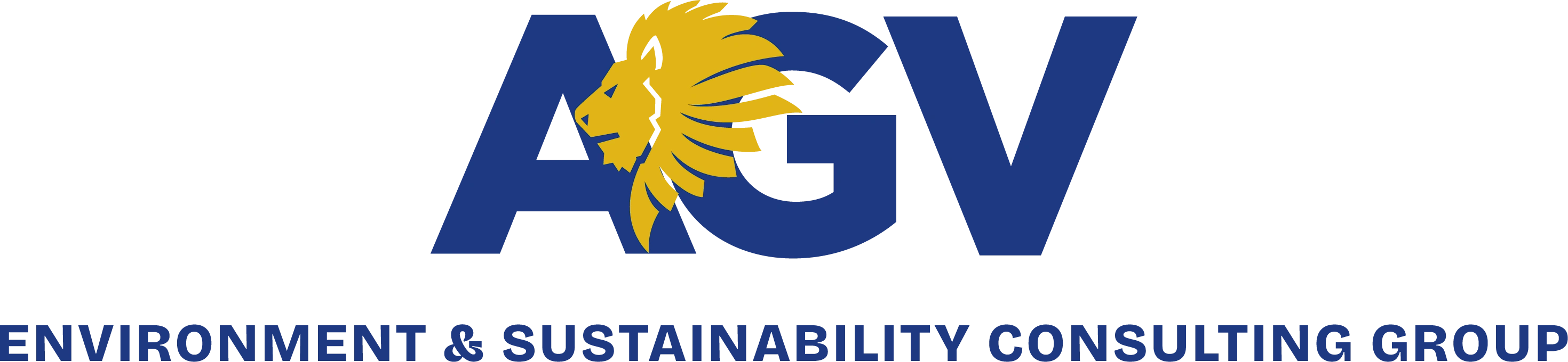 AGV Group